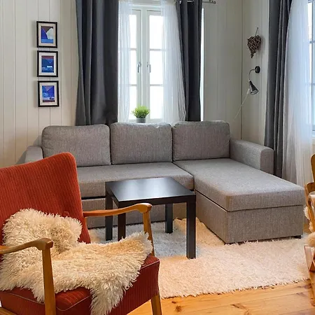 Lovely In With Wifi Tatil Evi Bjorli